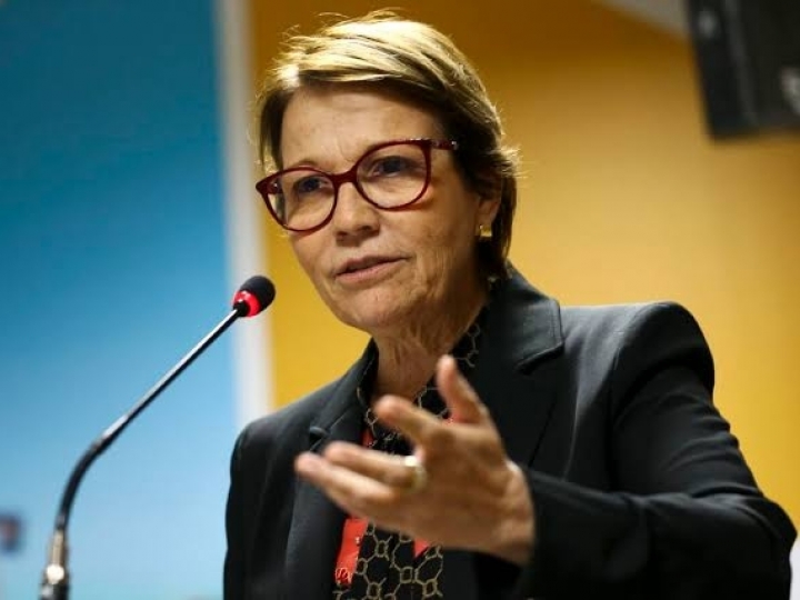 Brasil garante alimentos para consumo interno e exportações durante a pandemia, diz ministra