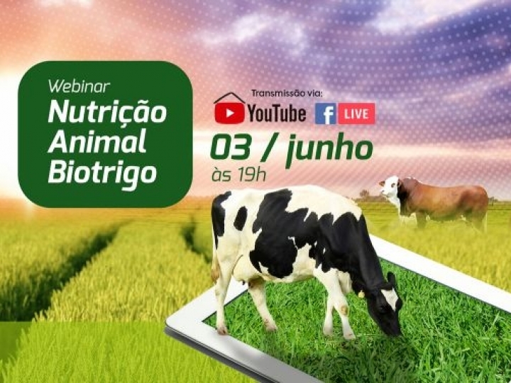 Webinar apresenta opções para ampliar a lucratividade na atividade pecuária