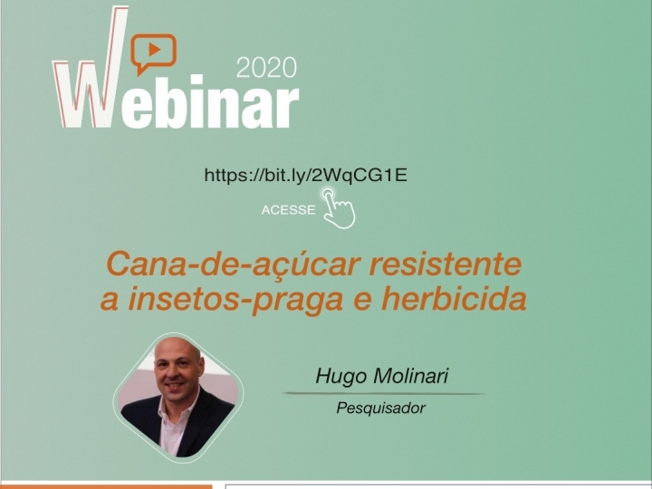 Webinar Embrapa Agroenergia: Cana-de-açúcar resistente a insetos - praga e herbicidas