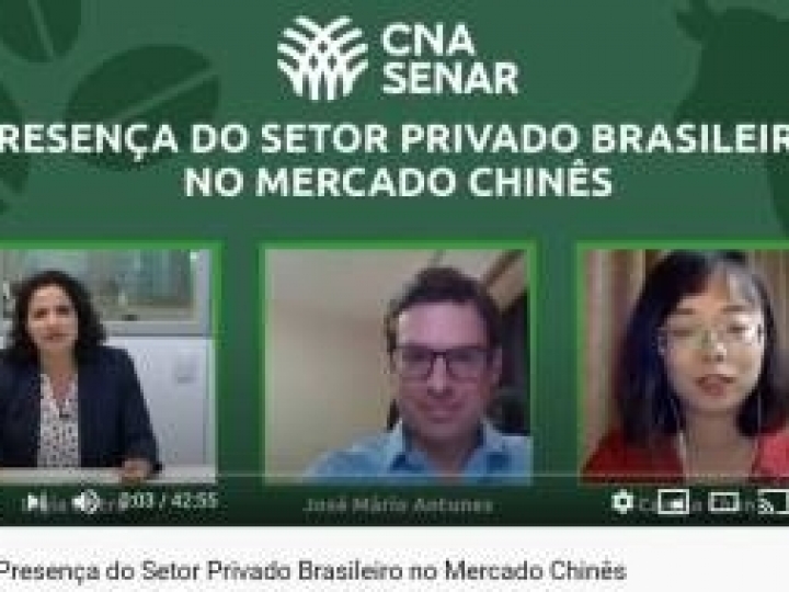 CNA debate presença do setor privado no mercado chinês 