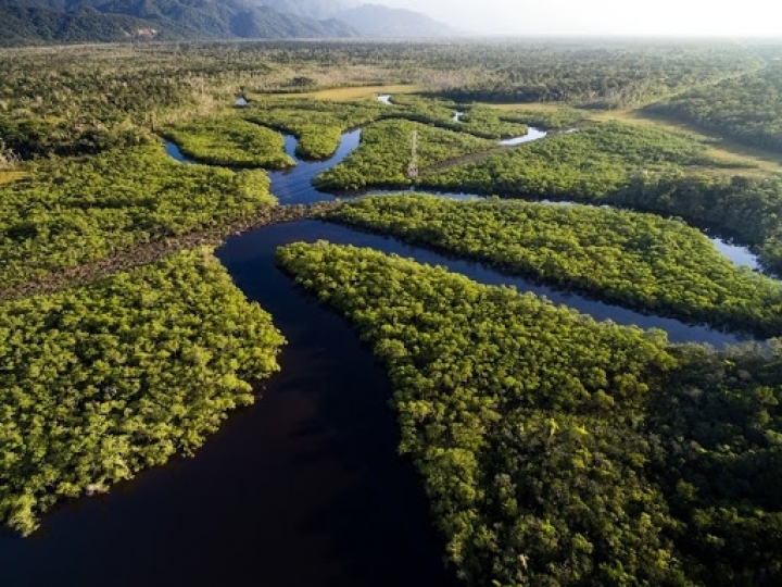 Amazônia e desenvolvimento na região