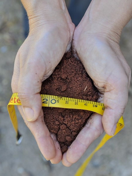 Tecnologia revela aspectos relacionados ao funcionamento biológico do solo que, até então, passavam despercebidos nas análises de fertilidade. Foto: Fabiano Bastos