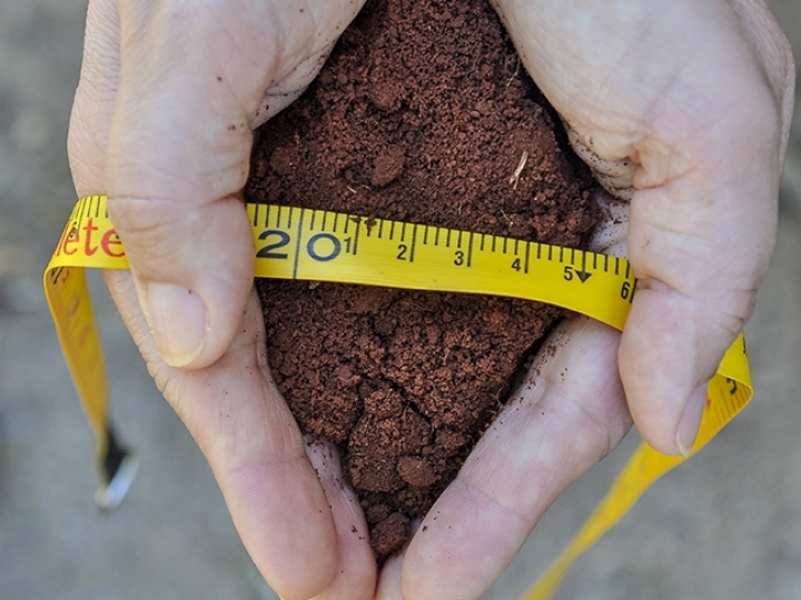 Cientistas desenvolvem tecnologia que faz avaliação biológica do solo