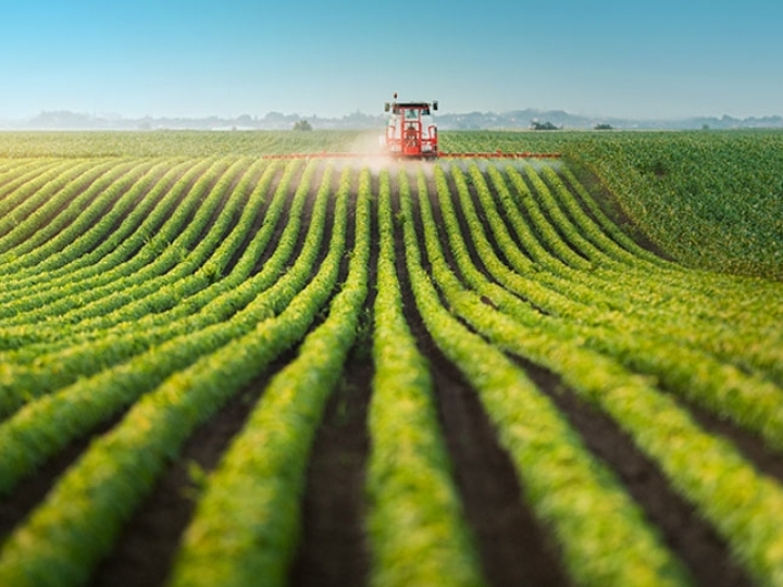 Bolsonaro destaca importância do agronegócio para a economia e o abastecimento do país