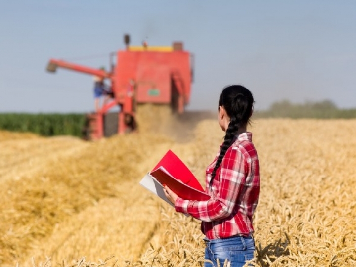 Agro abre 86,2 mil vagas e lidera expansão de vagas de janeiro a julho 