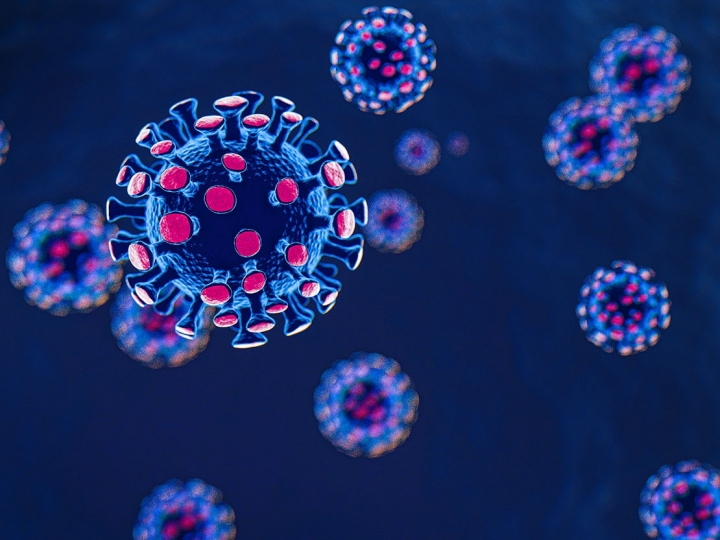 Embrapa e instituições norte-americanas assinam parceria em pesquisas contra patógenos, como o novo coronavírus