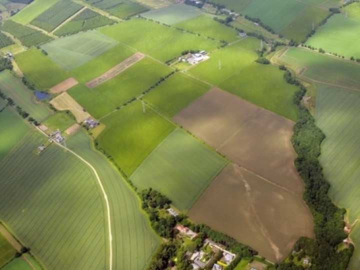 BB Seguros desenvolve plataforma de monitoramento por sensoriamento remoto para apoiar o produtor rural e as operações de seguros rurais