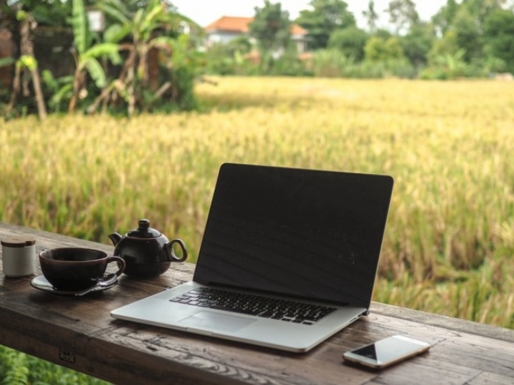 93% das fazendas que adotam processos de gestão colhem resultados positivos na primeira safra