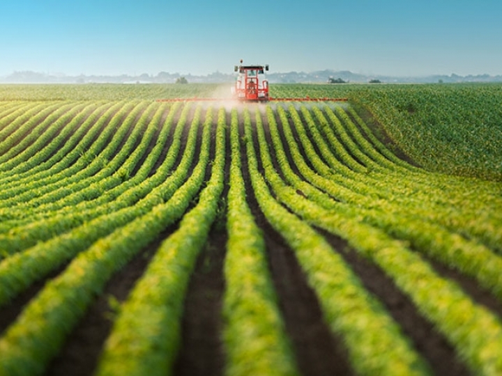 PIB do agronegócio cresce 4,62% de janeiro a maio