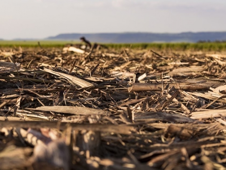 GranBio e NextChem assinam parceria para desenvolver  mercado de etanol celulósico