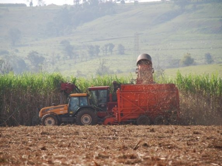 Colheita mecanizada da cana-de-açúcar atinge 95,3% das áreas produtivas na safra 2018/19