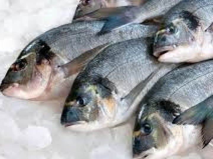 China habilita mais três plantas brasileiras para exportação de pescado