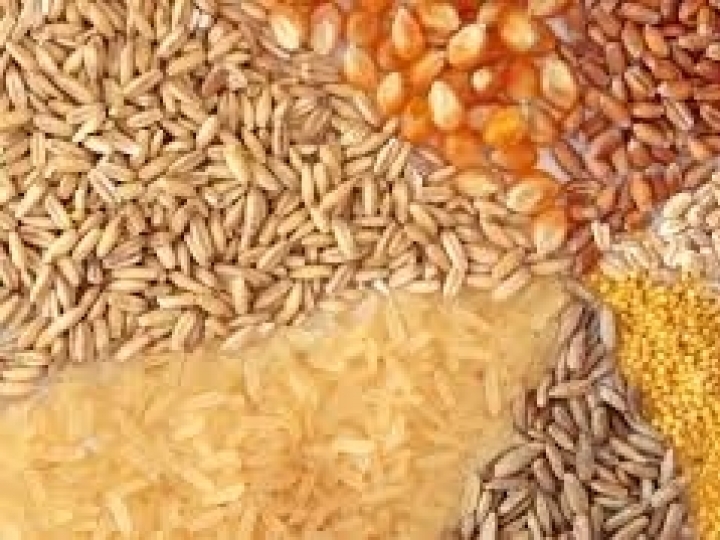 Produção de grãos sinaliza recorde final de 253,7 milhões de toneladas