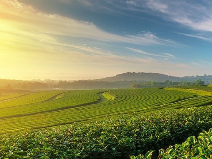 Comissão do Ministério da Economia aprova financiamento externo de US$ 230 milhões para AgroNordeste