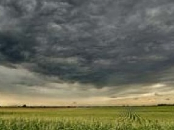 Agricultores precisam ter atenção com frente fria 