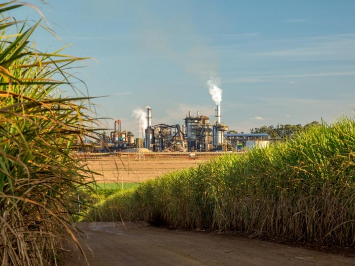 Recuperação do segmento sucroenergético: fato ou fake? IHARA realiza webinar para discutir o tema