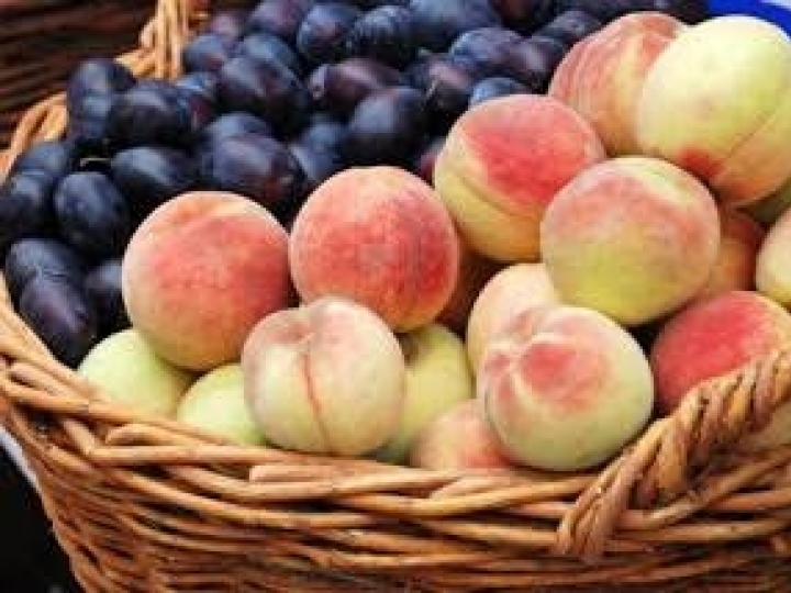 Projeto Monitor do Seguro Rural irá avaliar grupo de oito frutas