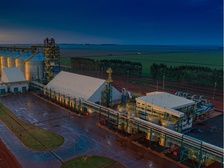 CerradinhoBio cria divisão de negócios para produtos derivados do milho