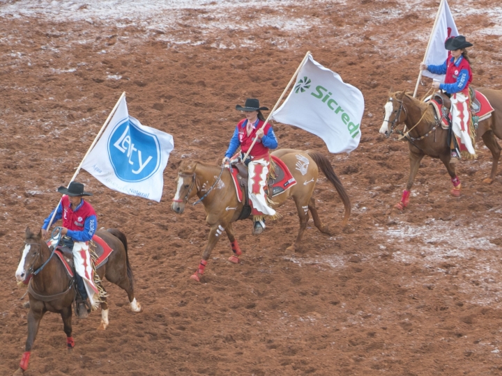 Com patrocínio do Sicredi, Festa do Peão de Barretos terá lives de rodeios e shows 