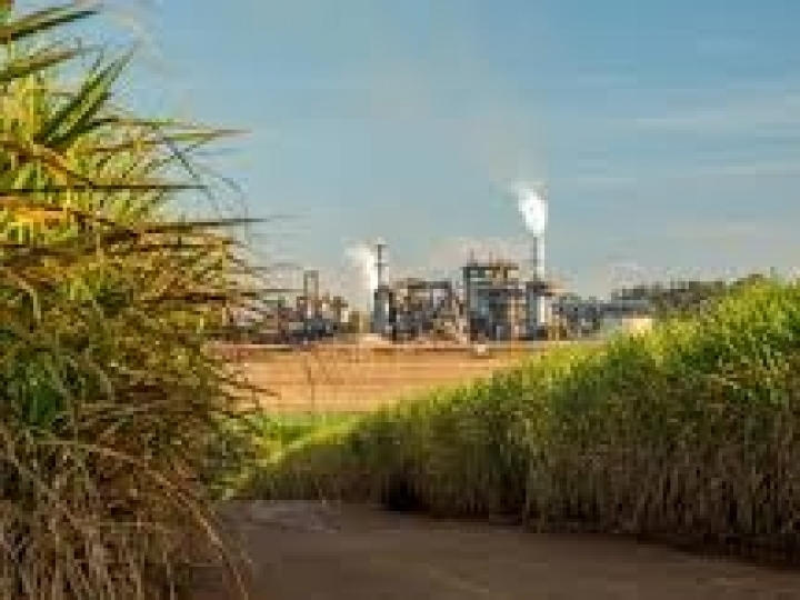 Consultado pelo governo, setor sucroenergético rejeita prorrogação da isenção do etanol dos EUA