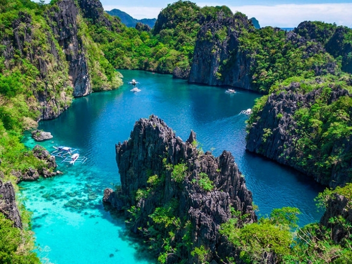 Embargo indevido do governo das Filipinas à carne de frango brasileira