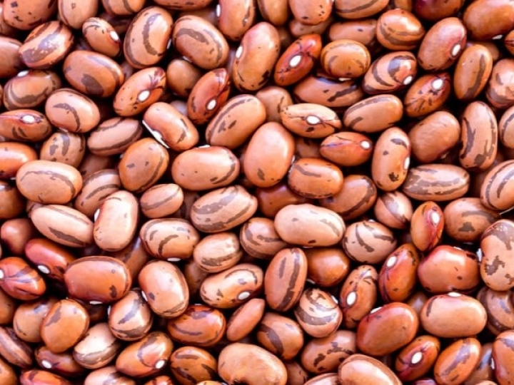 É tempo de cultivar o “feijão das águas” em Itapetininga 