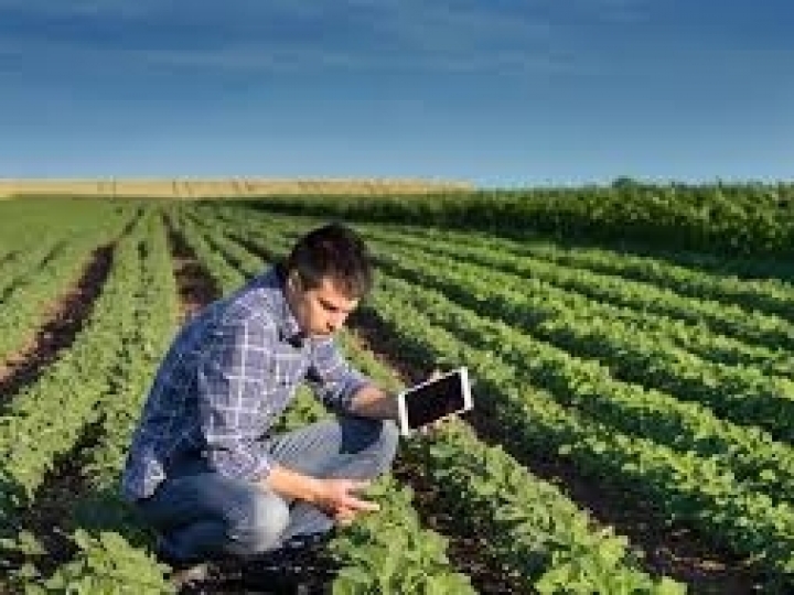 Mapa vai fomentar a qualificação dos peritos agrícolas que trabalham no seguro rural