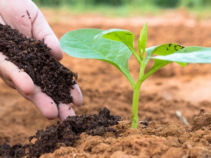 Podemos alimentar o mundo sem fertilizantes?