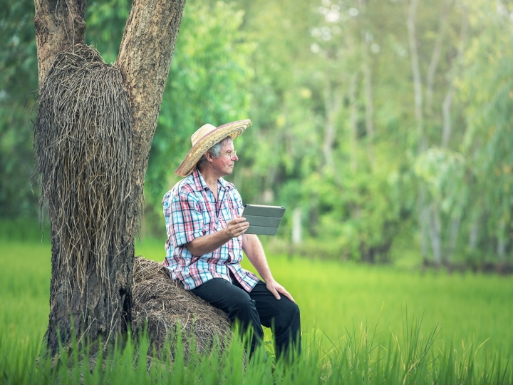 Sicredi promove evento digital sobre inovações no agronegócio