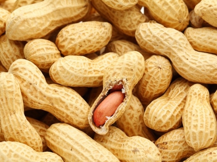 Banco de dados mapeia áreas de produção de amendoim no Brasil