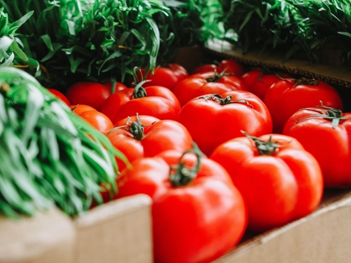 Tomate e borracha apresentam aumento de produção  