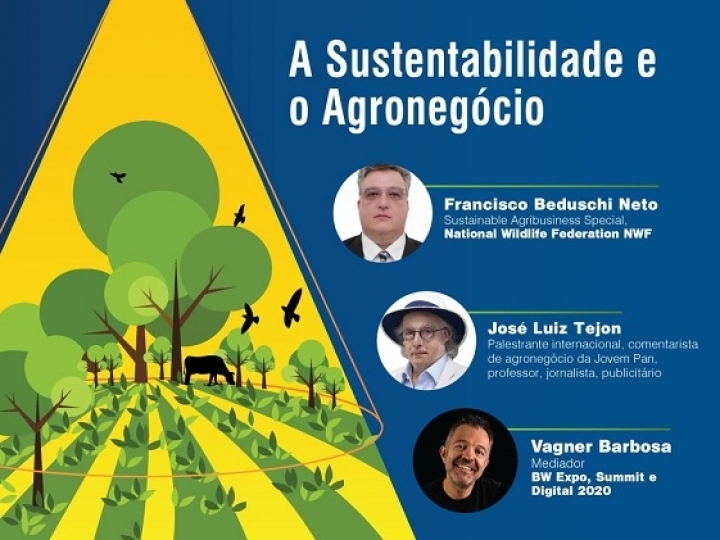 Sustentabilidade no agronegócio é tema do webinar BW TALKS