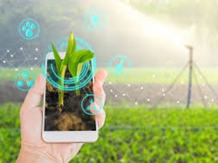 TechStart Agro Digital dá início à fase de pré-aceleração   e anuncia apoio do Google Cloud