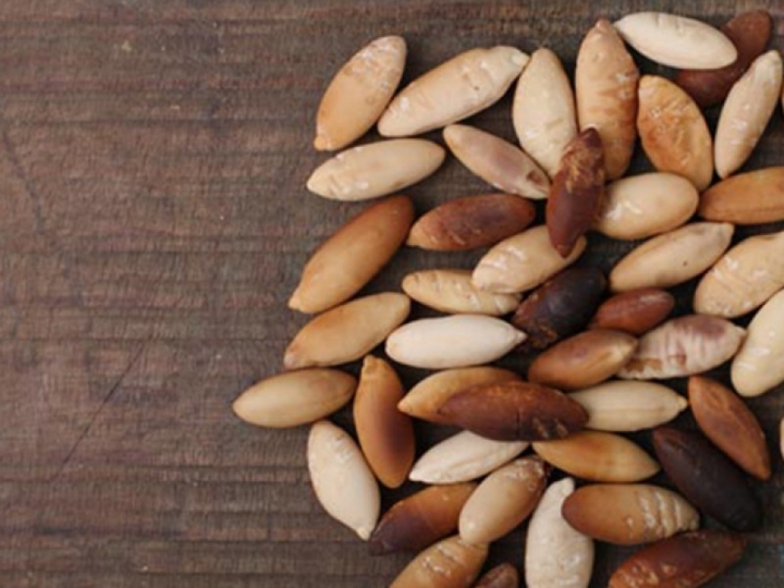 Brasil abre 100 novos mercados externos