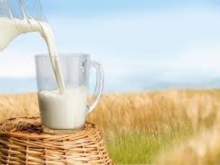 Preço do leite tem queda e alta de custos preocupa