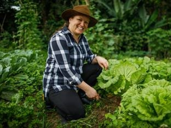 Inscrições para cursos de graduação EAD agro