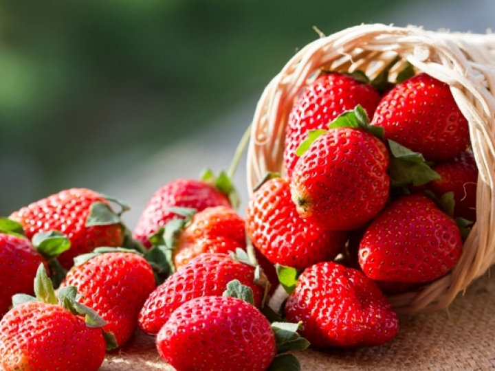 Morango: produtores ávidos por inovação desenvolvem a fruta altamente nutritiva e com consumo expressivo