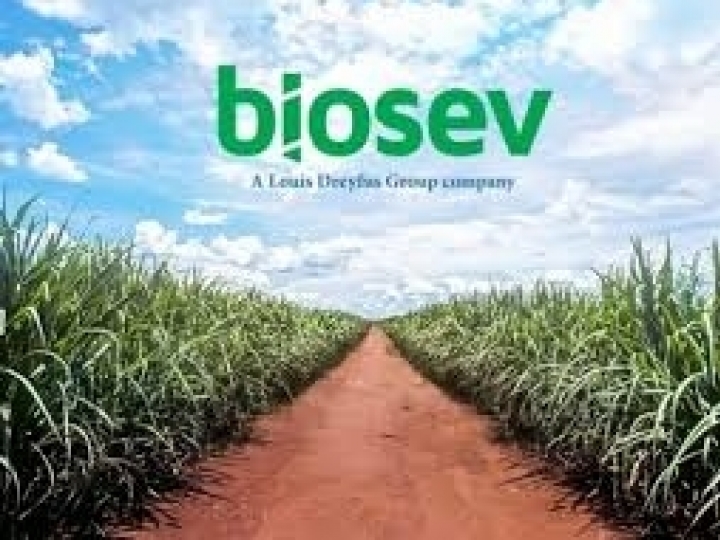 Biosev registra lucro líquido de R$ 155,5 milhões no 6M21