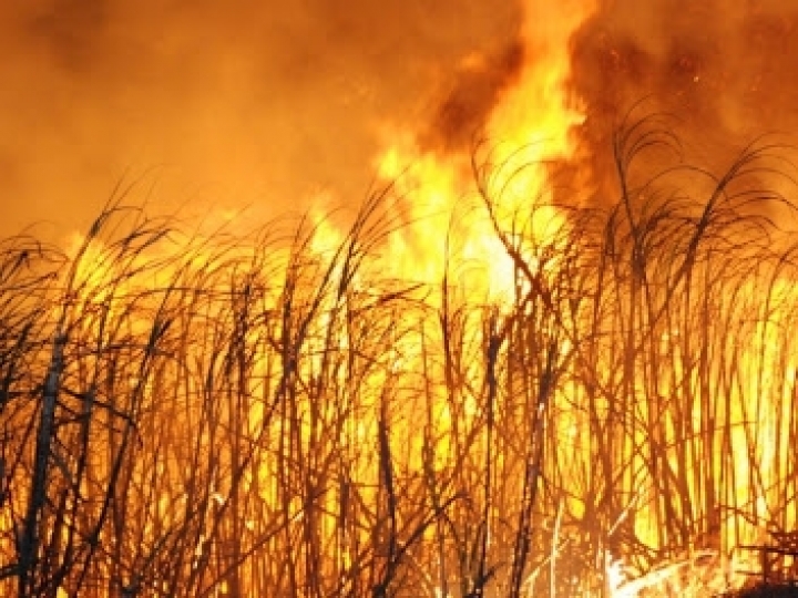 Ações de Prevenção e Combate de Incêndios em Canaviais