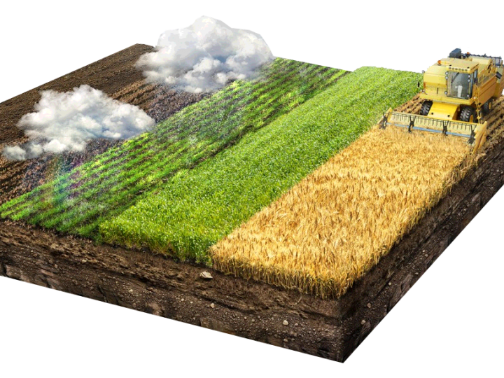 Fazendas inteligentes na AgroBit Brasil Evolution 2020 