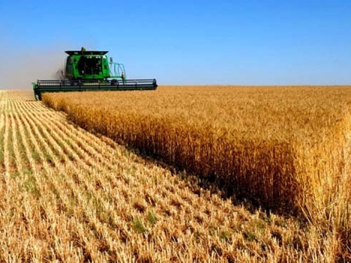 Conab confirma maior produção de grãos da história com 268,9 mi de toneladas