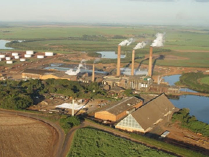 Usina São João de Araras implementa programa de transformação digital com apoio da Treesales