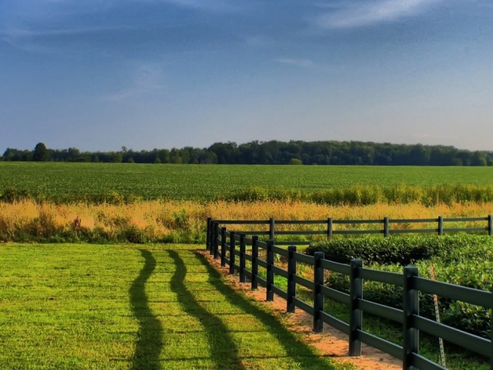 Atividade rural respondeu por 72% das emissões do Brasil em 2019