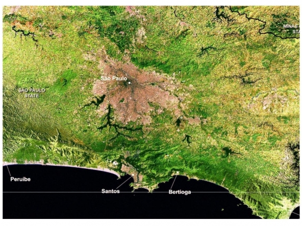 Instituição modernizou infraestrutura de pesquisa, ganhou novos equipamentos e teve o acervo digitalizado com apoio da FAPESP.  Foto: Reserva da Biosfera do Cinturão Verde da Cidade de São Paulo/Secretaria da Infraestrutura e Meio Ambiente