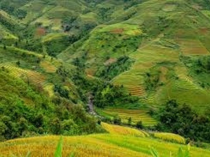 FAESP auxiliará produtores na regularização ambiental