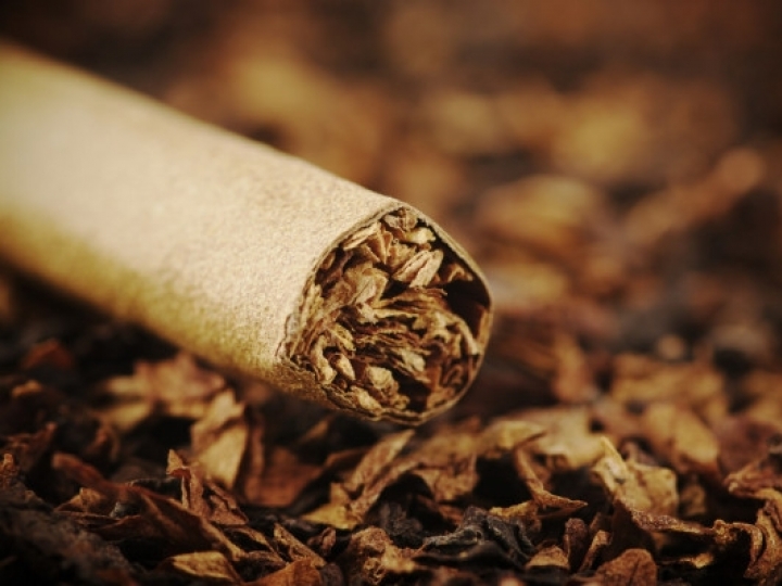 Energia solar passa a ser opção para cura de tabaco