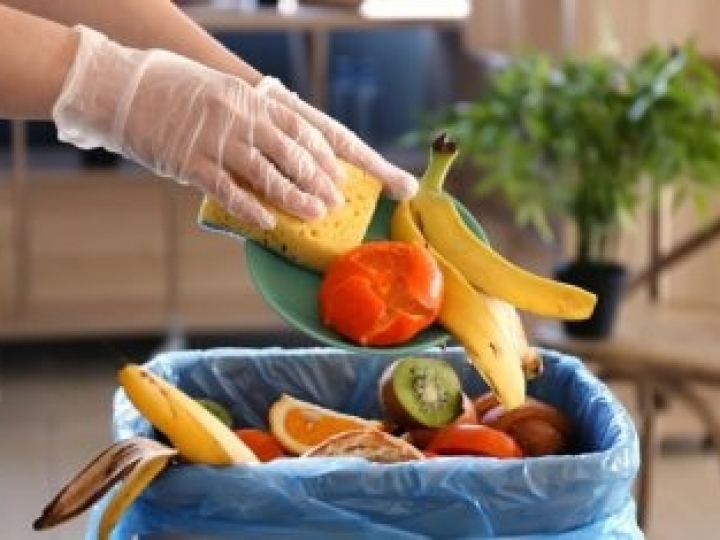 Brasil e Suécia ampliam parceria para diminuir desperdício de alimentos