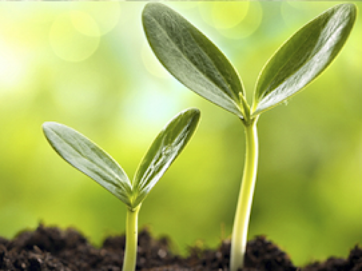 IHARA investe mais de 8 mi em projeto de sustentabilidade no agronegócio