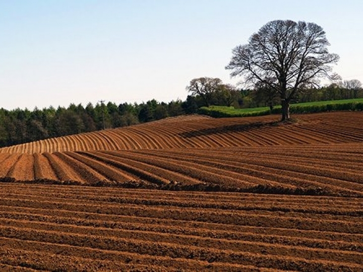 Plataforma tecnológica com dados do solo brasileiro