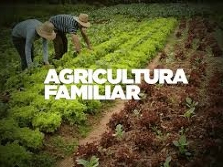 15 milhões de reais para compra de alimentos da agricultura familiar